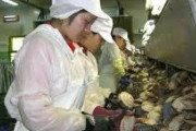 中国人「日本に行った研修生たちが非人道的な待遇を受けているらしい」「ありえない」　中国の反応