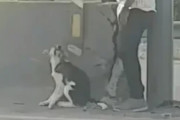 高速道路沿いの道にはまった救うために、自らの命を危険にさらす男が海外で話題に←勇敢すぎだろ！