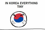 【韓国】小さな韓国【ポーランドボール】