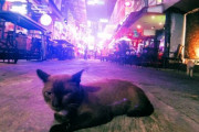 もはや日本と変わらない街並み-タイで外国人になるってどんな感じなの？ 海外の反応