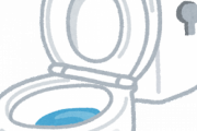 トイレに貝殻が３枚置いてあるんだけど