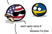 【世界】アメリカほど銃を携帯できる国はないよ？【ポーランドボール】