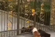 【動画】海外「こういう奴はどこでも必ずいるよな（笑）」