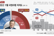 韓国紙「文大統領の国政支持率が絶好調！全ての年齢層で支持率が上昇中！」→韓国人「…」＝韓国の反応