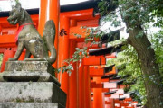 韓国人「日本旅行に行ってきて感じたこと」