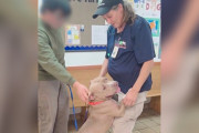 【海外】「お父さんが deported された犬、涙の別れ…彼女は本当に素晴らしい犬だった！」