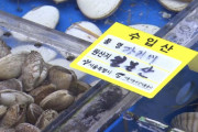 【韓国の反応】「日本産きちんと表記して」…原産地の偽造を特別取り締まり開始