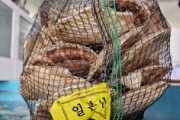 韓国人「日本が汚染水で中国が食べないホタテを韓国に販売しているらしい…ﾌﾞﾙﾌﾞﾙ」