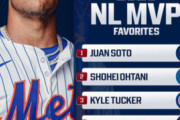 【海外の反応】大谷翔平を抑えてファン・ソトが1位なんてあり得ない