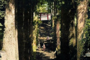 外国人が100年前以上の写真をカラー化　日本からも箱根の並木道が選ばれる