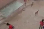 海外「【閲覧注意】インド、男児を産まなかったという理由で義家族から暴行される女性」