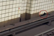 【海外】ブルックリンの通勤ラッシュ！地下鉄の線路に現れた迷子の赤ちゃんに注目集まる