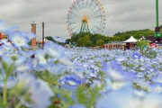 「日本のこの公園は美しいよな！」親日外国人が風景を愛でるスレ