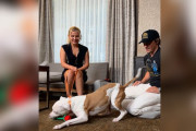 【海外】ミリー・ボビー・ブラウン、一目惚れの相手は保護犬マンチャス！キュートなデートの全貌💕