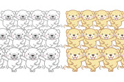日本の「動物病院から何体もの自分が現れて固まった柴犬」が可愛い！【タイ人の反応】