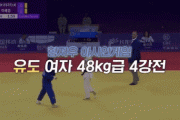 【動画】韓国人「韓国人柔道選手が相手選手に『目突き』をするGIFをご覧ください」反則で次の試合まで退場させられた柔道選手がこちら　韓国の反応