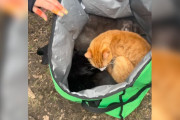 【海外】公園のベンチに置かれたUber Eatsの袋を開けたら、なんと中には赤ちゃんが丸まって入っていた！驚きの発見とは？