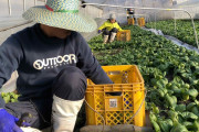海外　外国人による農地買い占め規制強化に阿鼻叫喚？
