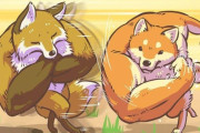 外国人「日本でマッスル狐と右フック犬が大人気らしいぞー」
