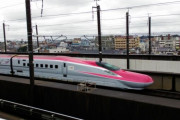 新幹線に大興奮！東京駅を散策し秋田新幹線を体験してみる 海外の反応