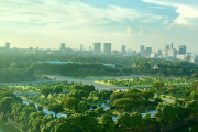 海外「東京が未来都市すぎて驚いてる」こんな街本物って言われても信じれないよ・・・
