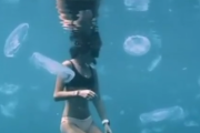 ゆらゆらしててとても癒される。大量のクラゲと一緒に泳いでゆったり癒される。海外の反応