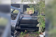 【海外】「放置された車で救いを待つ犬の感動ストーリー」