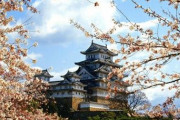 韓国人「日本に移民しよう！」滅びる韓国で凄惨な仕打ちを受けるより、日本に移民した方が良い！　韓国の反応