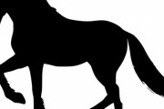 「馬の片目が感染症になったのでブラジャーを眼帯代わりにしたら…ピッタリだった」