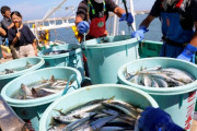 韓国人「中国が日本産の水産物の全面輸入禁止を WTOに通知したぞ…ﾌﾞﾙﾌﾞﾙ」