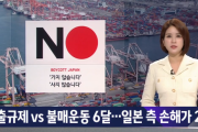 韓国「輸出規制vs不買運動…日本へ2倍の損害を与え韓国の勝利！」→韓国人「日本は影響無しだよ…」＝韓国の反応