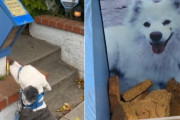 「よいこのみんなに」家の前の青いボックスには、愛犬を亡くした飼い主からの思いが込められていた