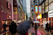 外国人「数年前に日本に行った時の写真がこれ、すごく恋しい」　海外の反応