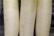 海外「こんな食材は他にないぞ！」 日本で謎の野菜を買ったんだがどう調理したらいいんだ…？