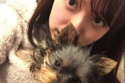 元乃木坂・中元日芽香、アイドル挫折を乗り越えてたどり着いた大学での学び　【海外の反応】