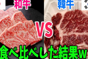 韓国人「韓国名産 “韓牛” はPR次第で和牛以上に人気が出ていたはずなのに…」「○○だけがネックだね」