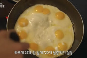 【アホ】卵を毎日24個！1ヶ月間で720個を食べた結果wwwww←韓国人の反応『私だって1日6～8個食べてる！』