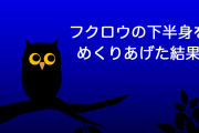 日本人がフクロウの下半身をまくりあげた結果！その下に隠されてたものが衝撃的すぎる！【タイ人の反応】