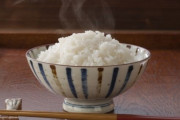 韓国人「一人飯時代の最強アイテム、日本の一人用炊飯器がすごい！」
