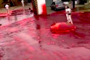 【衝撃】牛の血液を積んだタンクが爆発→ 血の海と化した町の様子が完全にホラーなんだが