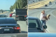【海外】女性が高速道路で犬を救うために交通を止める、そのときドライバーたちが見せた驚きの優しさとは？