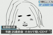 外国人「日本のマスコミが犯罪者で遊んでるように見える…」