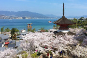 海外「日本といえば何を思い浮かべる？」食べ物やアニメ、そして働きすぎな人たち・・・