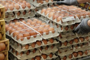 卵が7000ウォンどころか1万目前…ついにタイから輸入、韓国の物価高に不満爆発