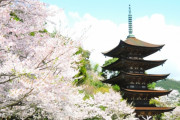 海外「これぞ日本の隠れた名所だ！」NYタイムズ紙が山口市を今年行くべき世界の52カ所「第3位」に選出して話題に
