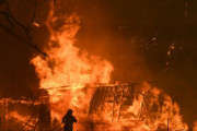 【衝撃】山火事で子牛20頭が大ヤケド、苦痛を止めるため牧場主が取った行動がつらすぎる