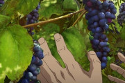 Dr.STONE（ドクターストーン）第1話に対する海外の反応（感想）
