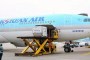 韓国人「大韓航空が飛行機に搭乗する前に乗客の『体重』を測定するらしい…ﾌﾞﾙﾌﾞﾙ」
