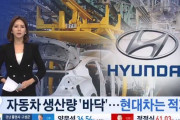 韓国人「現代車が44年ぶりに赤字‥170万人の雇用が揺れる」　韓国の反応