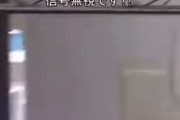 自転車で車を追う日本の警察官が海外で話題に　